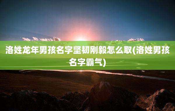 洛姓龙年男孩名字坚韧刚毅怎么取(洛姓男孩名字霸气)
