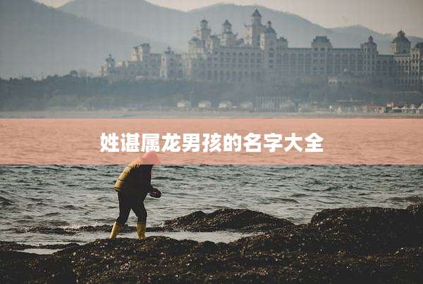 姓谌属龙男孩的名字大全