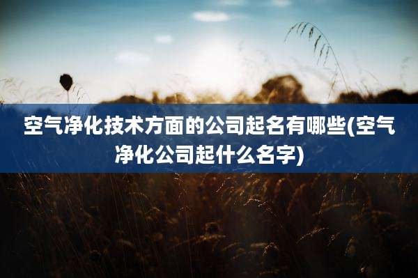 空气净化技术方面的公司起名有哪些(空气净化公司起什么名字)
