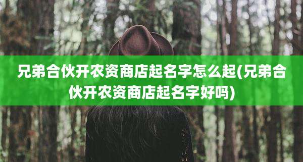 兄弟合伙开农资商店起名字怎么起(兄弟合伙开农资商店起名字好吗)