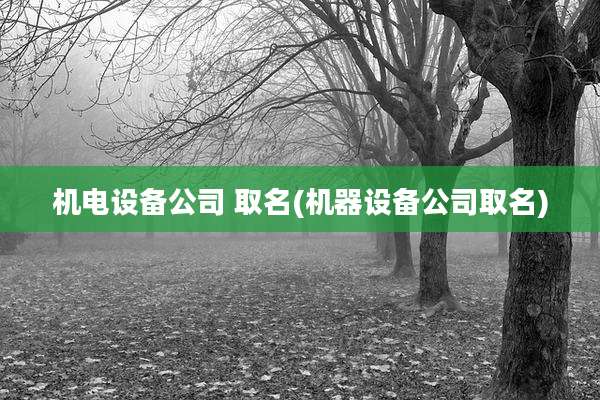 机电设备公司 取名(机器设备公司取名)