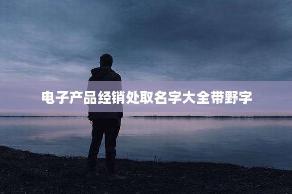 电子产品经销处取名字大全带野字