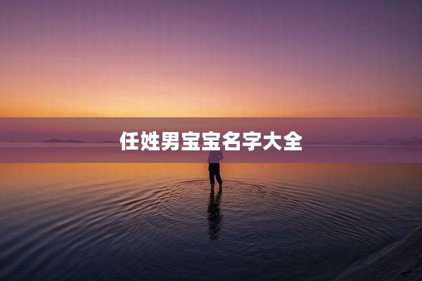 任姓男宝宝名字大全