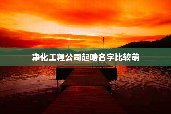 净化工程公司起啥名字比较萌