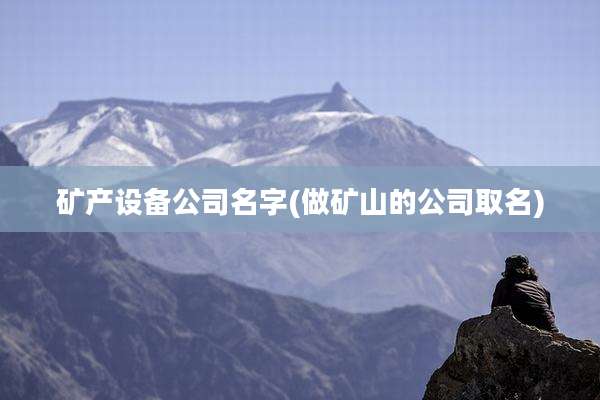 矿产设备公司名字(做矿山的公司取名)
