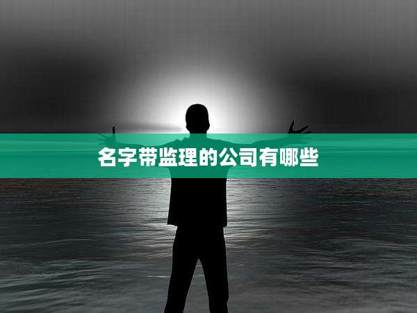 名字带监理的公司有哪些