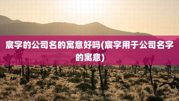 宸字的公司名的寓意好吗(宸字用于公司名字的寓意)