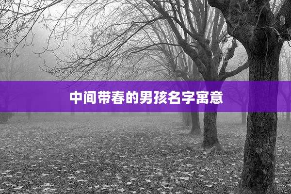 中间带春的男孩名字寓意