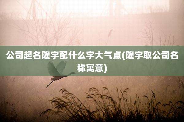 公司起名隆字配什么字大气点(隆字取公司名称寓意)