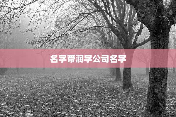 名字带润字公司名字