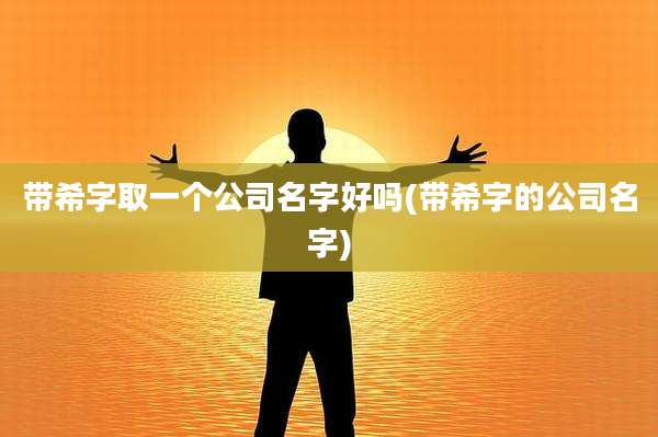 带希字取一个公司名字好吗(带希字的公司名字)