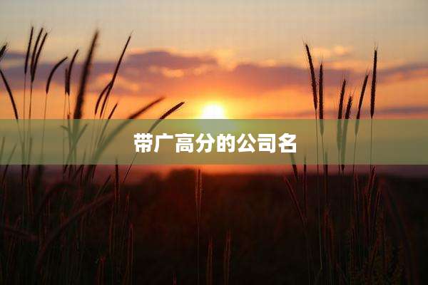 带广高分的公司名