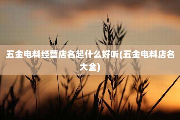 五金电料经营店名起什么好听(五金电料店名大全)