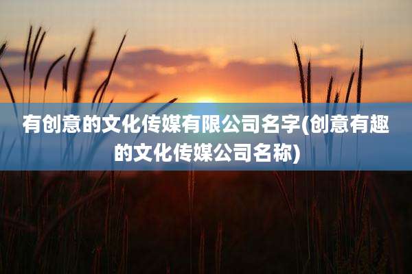 有创意的文化传媒有限公司名字(创意有趣的文化传媒公司名称)