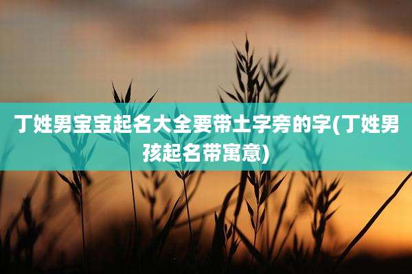丁姓男宝宝起名大全要带土字旁的字(丁姓男孩起名带寓意)