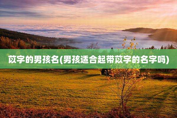 苡字的男孩名(男孩适合起带苡字的名字吗)