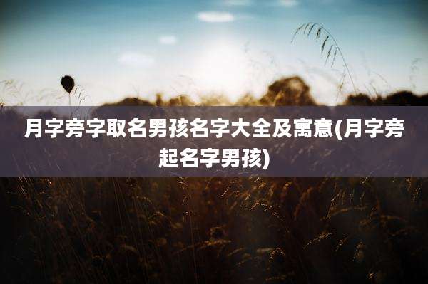 月字旁字取名男孩名字大全及寓意(月字旁起名字男孩)