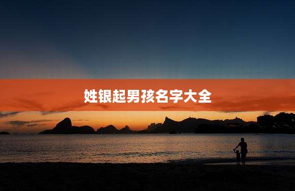 姓银起男孩名字大全