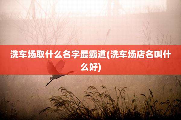 洗车场取什么名字最霸道(洗车场店名叫什么好)
