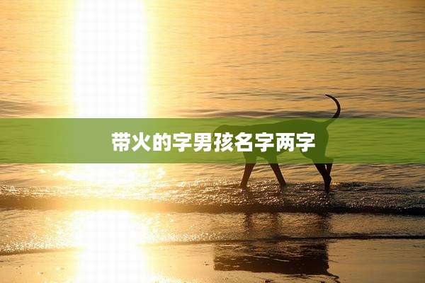 带火的字男孩名字两字
