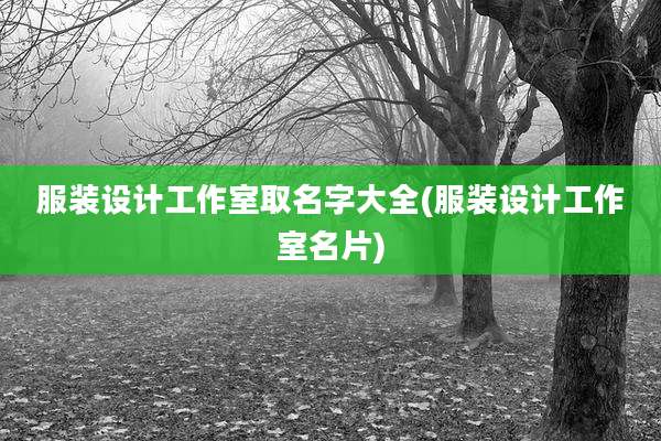 服装设计工作室取名字大全(服装设计工作室名片)