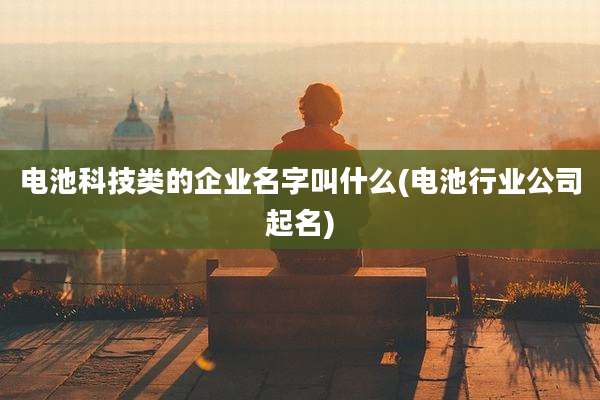 电池科技类的企业名字叫什么(电池行业公司起名)