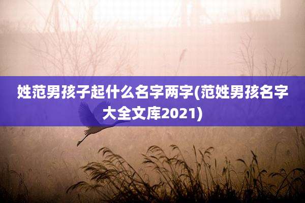 姓范男孩子起什么名字两字(范姓男孩名字大全文库2021)