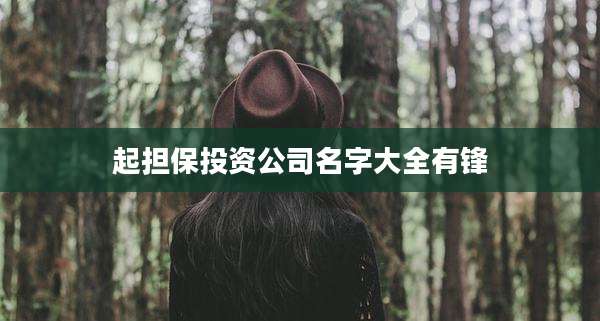 起担保投资公司名字大全有锋