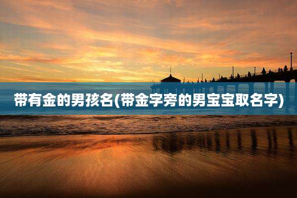 带有金的男孩名(带金字旁的男宝宝取名字)