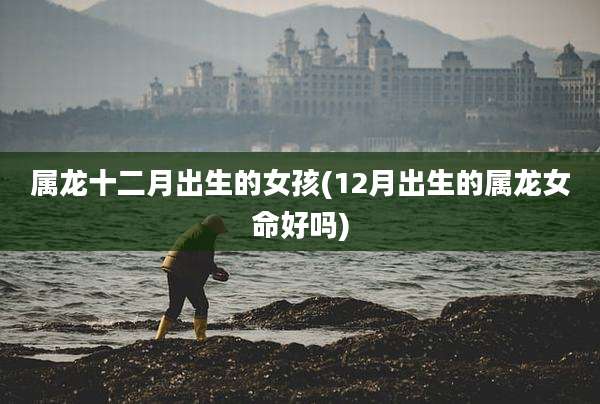 属龙十二月出生的女孩(12月出生的属龙女命好吗)