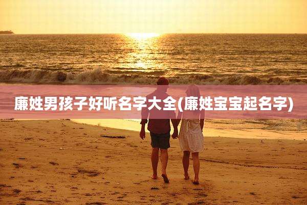 廉姓男孩子好听名字大全(廉姓宝宝起名字)