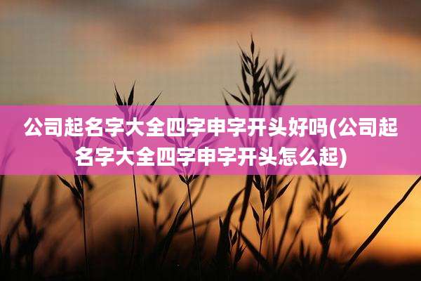 公司起名字大全四字申字开头好吗(公司起名字大全四字申字开头怎么起)