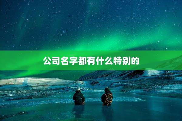 公司名字都有什么特别的
