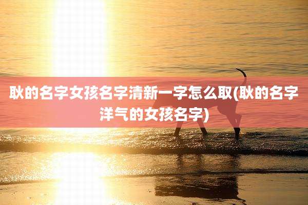 耿的名字女孩名字清新一字怎么取(耿的名字洋气的女孩名字)