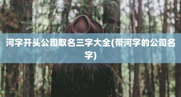 河字开头公司取名三字大全(带河字的公司名字)