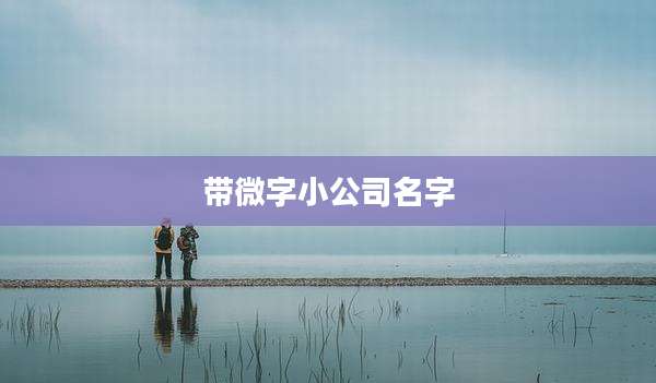 带微字小公司名字