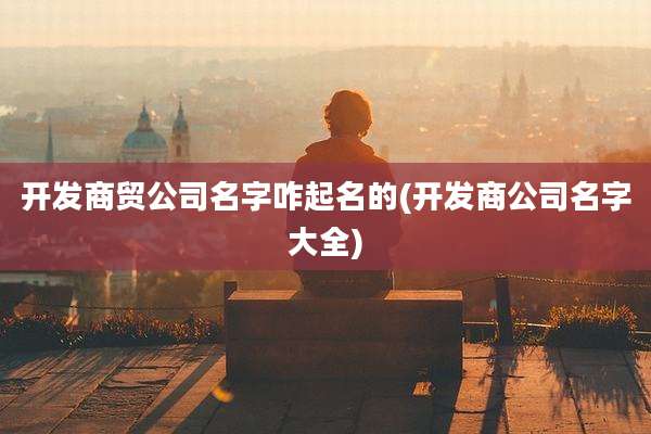 开发商贸公司名字咋起名的(开发商公司名字大全)