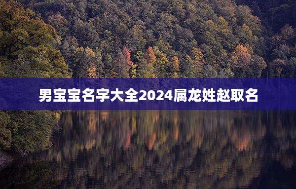 男宝宝名字大全2024属龙姓赵取名