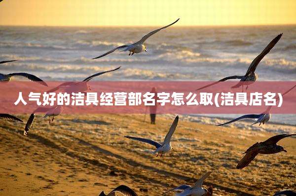 人气好的洁具经营部名字怎么取(洁具店名)