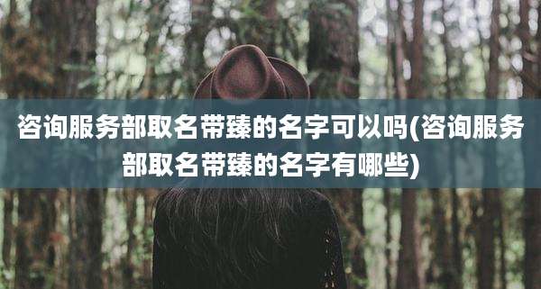 咨询服务部取名带臻的名字可以吗(咨询服务部取名带臻的名字有哪些)
