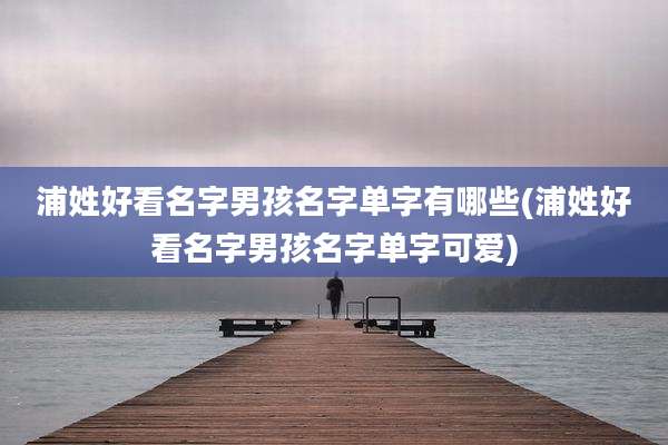 浦姓好看名字男孩名字单字有哪些(浦姓好看名字男孩名字单字可爱)