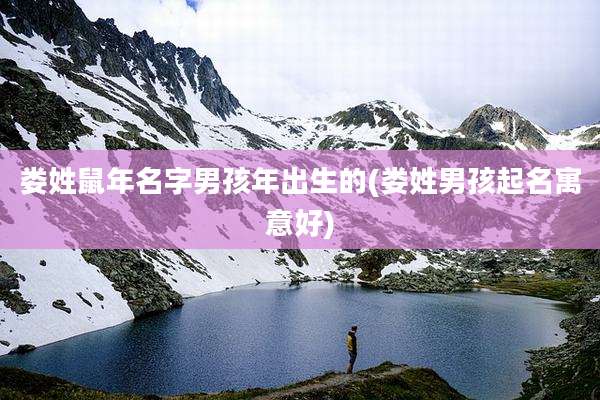 娄姓鼠年名字男孩年出生的(娄姓男孩起名寓意好)