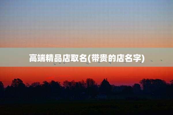 高端精品店取名(带贵的店名字)