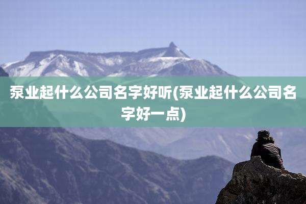 泵业起什么公司名字好听(泵业起什么公司名字好一点)