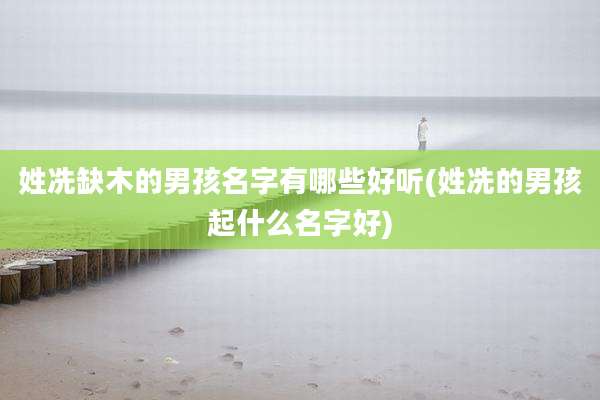 姓冼缺木的男孩名字有哪些好听(姓冼的男孩起什么名字好)
