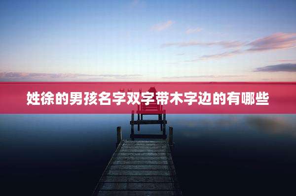 姓徐的男孩名字双字带木字边的有哪些