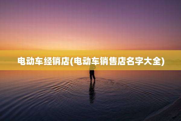 电动车经销店(电动车销售店名字大全)
