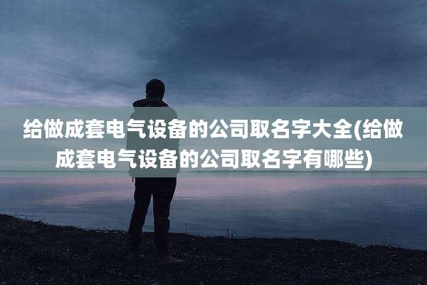 给做成套电气设备的公司取名字大全(给做成套电气设备的公司取名字有哪些)