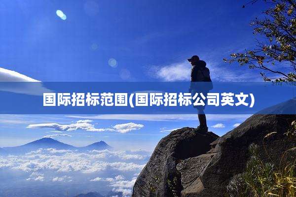 国际招标范围(国际招标公司英文)