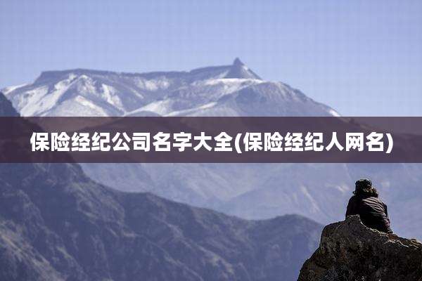 保险经纪公司名字大全(保险经纪人网名)